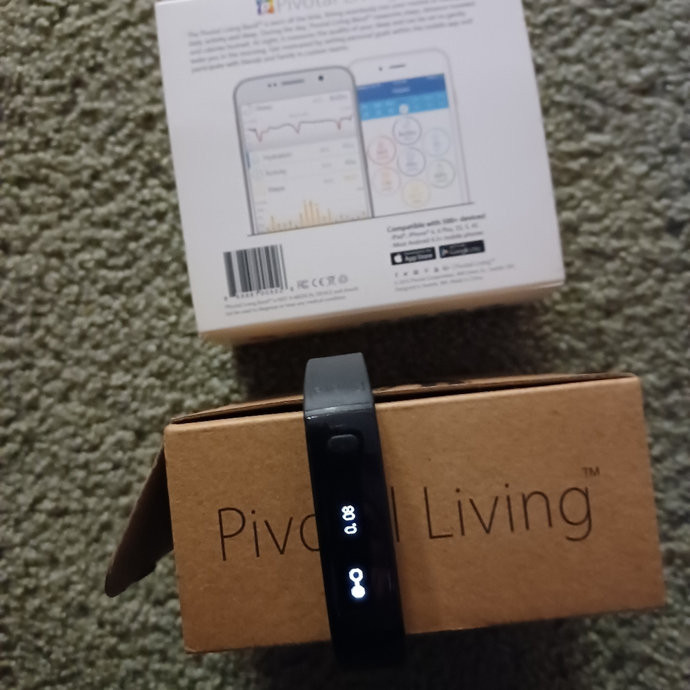 PIVOTAL LIVING BAND - Picture 4 of 11